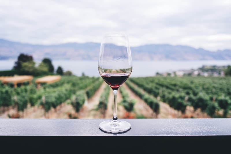 Antinori Tignanello 2019
